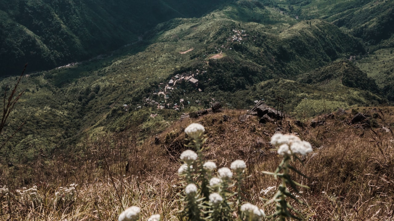 Green hills under moving cloud in Northeast India